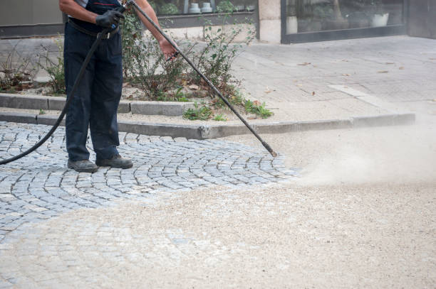 Best Restaurant Pressure Washing  in Luverne, MN