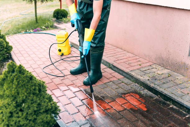 Best Factory Floor Cleaning  in Luverne, MN