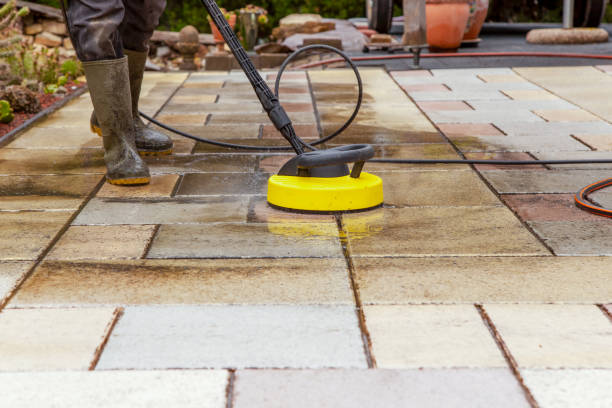 Animal Enclosure Cleaning in Luverne, MN